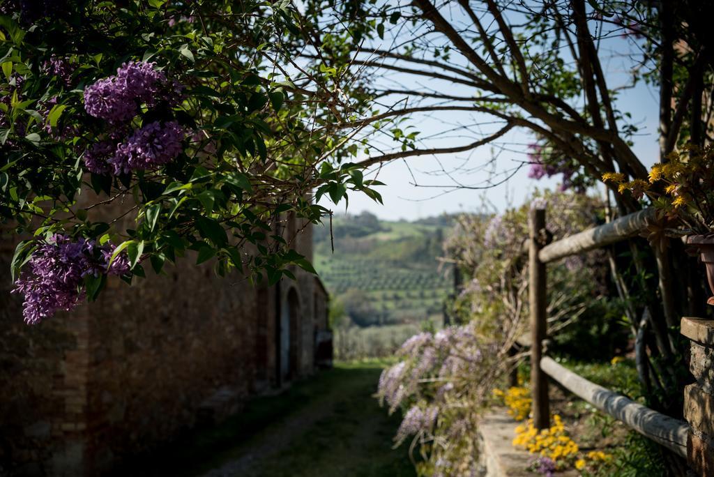 몬타이오네 Borgo Amarrante 빌라 외부 사진