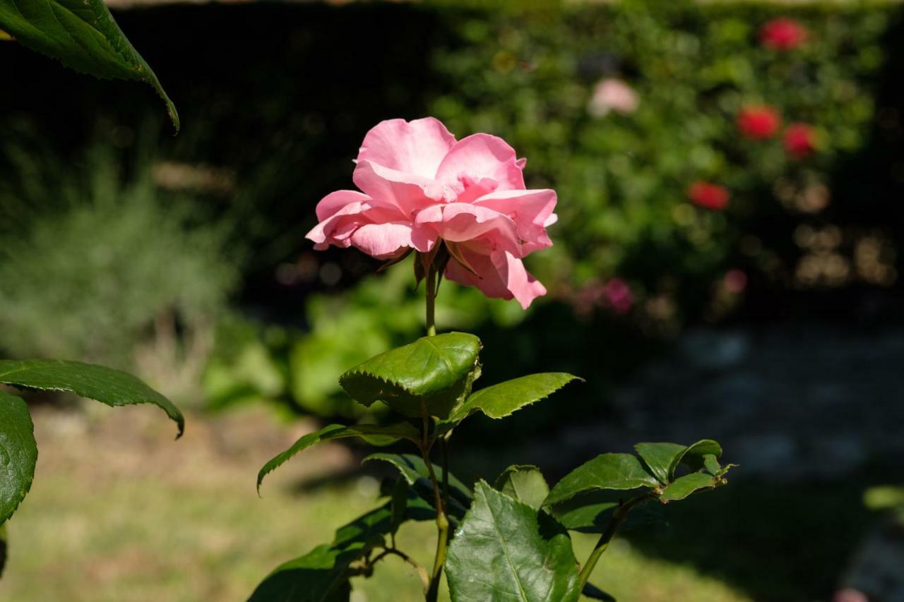 몬타이오네 Borgo Amarrante 빌라 외부 사진